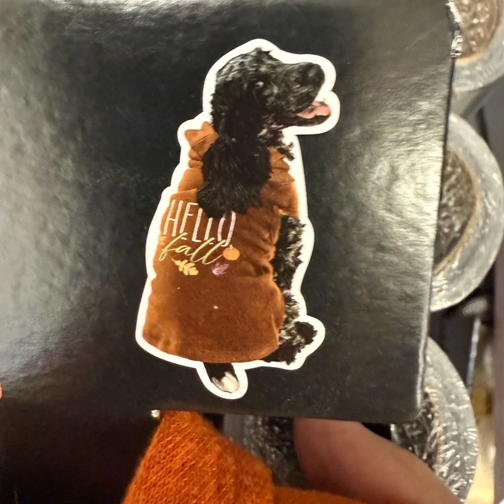 Hello Fall Dog Hoodie - Orange
